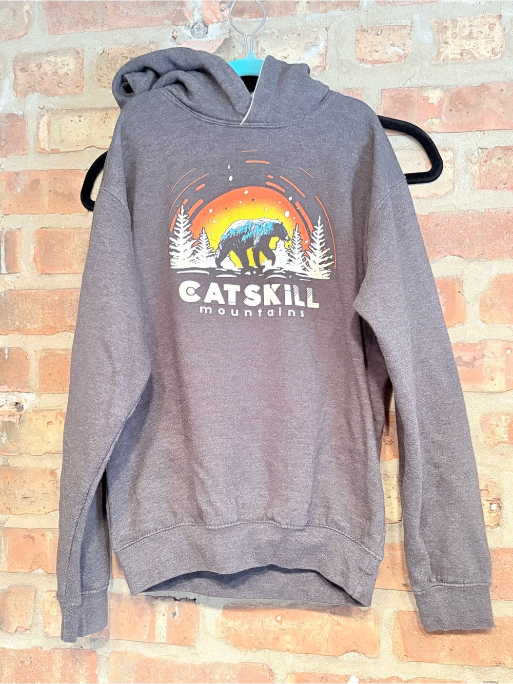 Kids Catskill Mountains hoodie sweatshirt large grey New York Hudson Valley